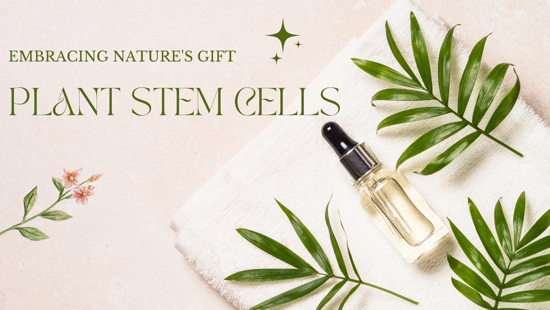 The Marvel of Plant Stem Cells in Eminence Organics Age Corrective Skincare Collection
