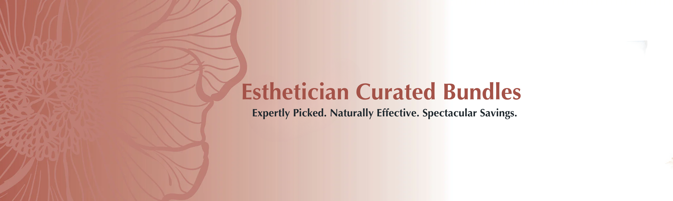 Esthetician Curated Bundles