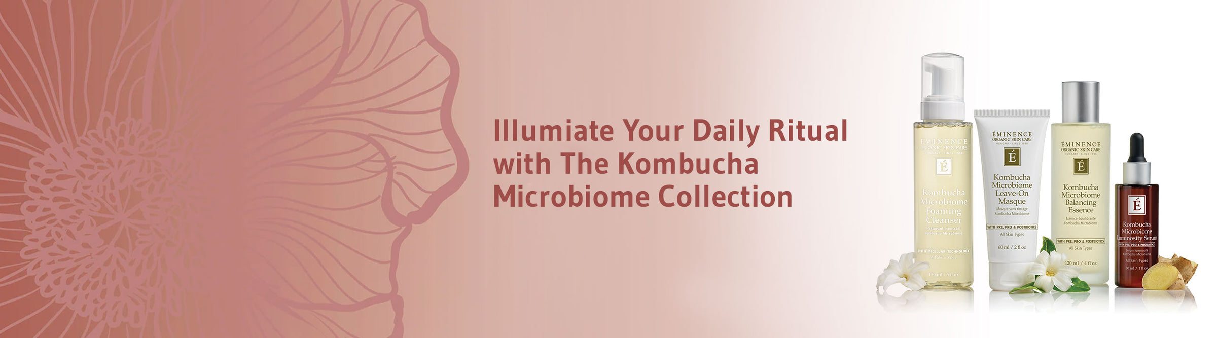 Kombucha Microbiome