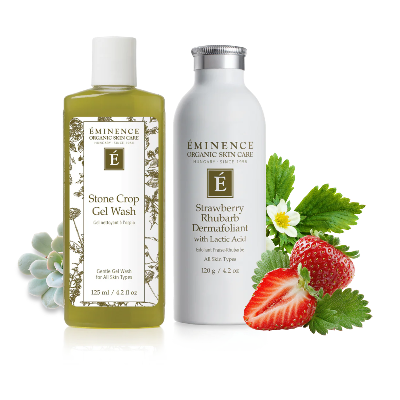Two Eminence Organic Skin Care products on a white background: a green gel wash bottle labeled Stone Crop Gel Wash and a white bottle labeled Strawberry Rhubarb Dermafoliant with Lactic Acid, styled with strawberries, rhubarb leaves, and a small succulent.